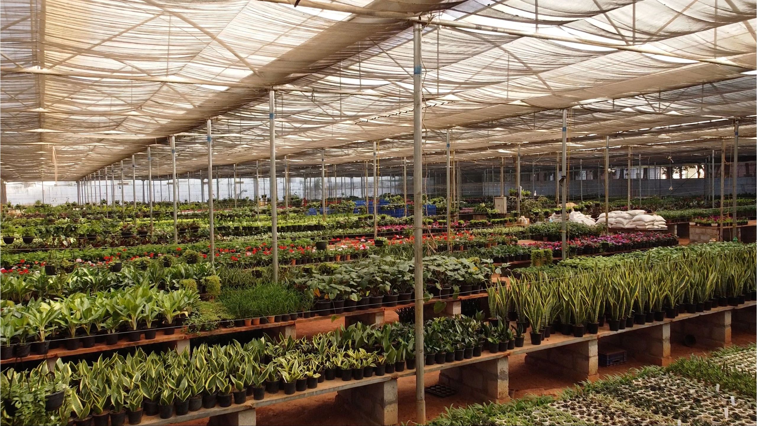PCR Nursery Plant Nursery, Planters, Garden Supplies